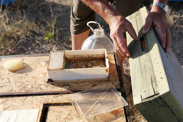 Honigbienen Auf Den Winter Vorbereiten — Stockfoto