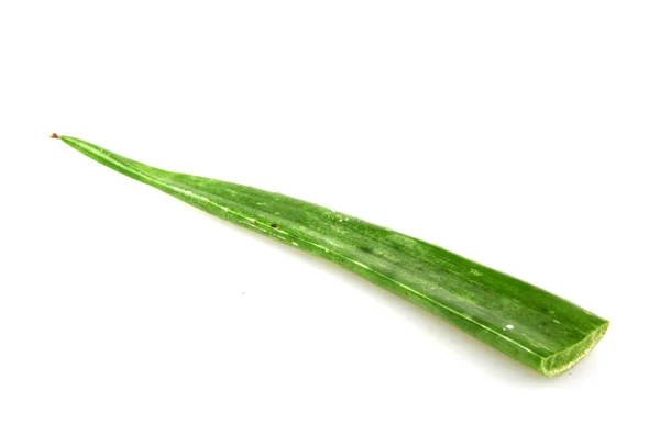 Närbild Aloe Vera Skiva Vit Bakgrund — Stockfoto