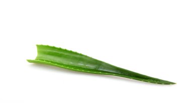 Aloe vera bitkisi beyaz arka planda izole edilmiş. Aloe vera, Aloe cinsinin sulu bir bitki türüdür. Tarım ve tıbbi kullanım için yetiştirilir.