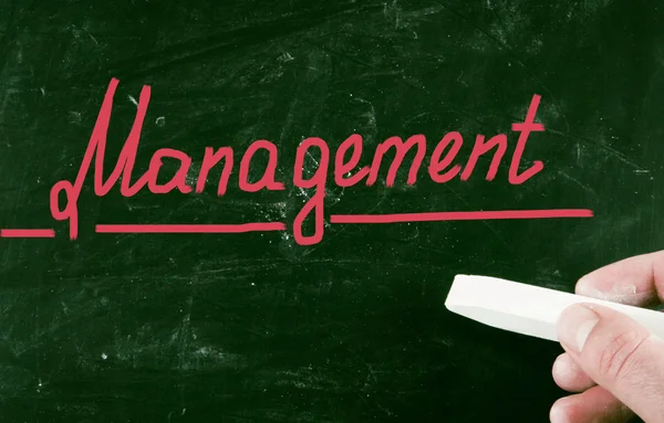 Management concept — Stock Photo, Image