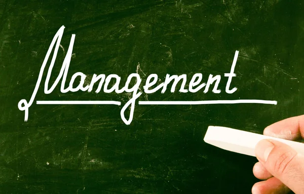 Management concept — Stock Photo, Image