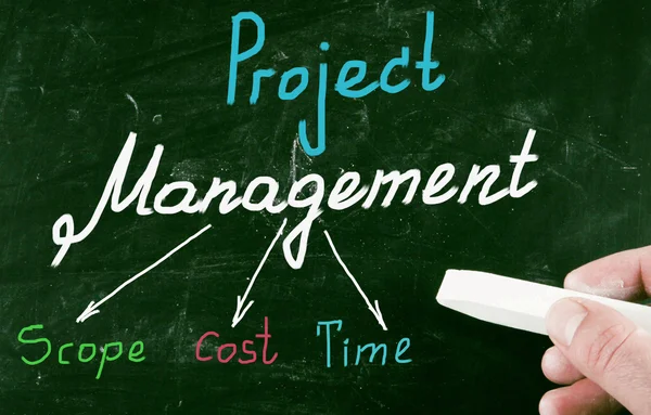 Project management — Stock Photo, Image