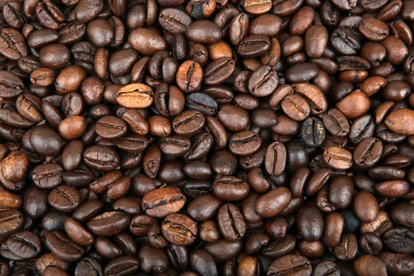 Coffee beans — Stock Photo, Image