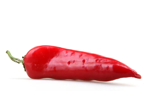 Pimenta vermelha no fundo branco — Fotografia de Stock