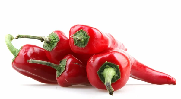 Red peppers on white background — Stock Photo, Image