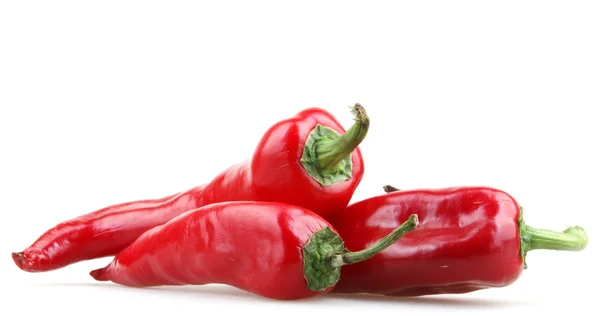 Rode paprika 's op witte achtergrond — Stockfoto