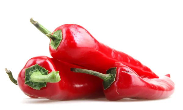 Red peppers on white background — Stock Photo, Image