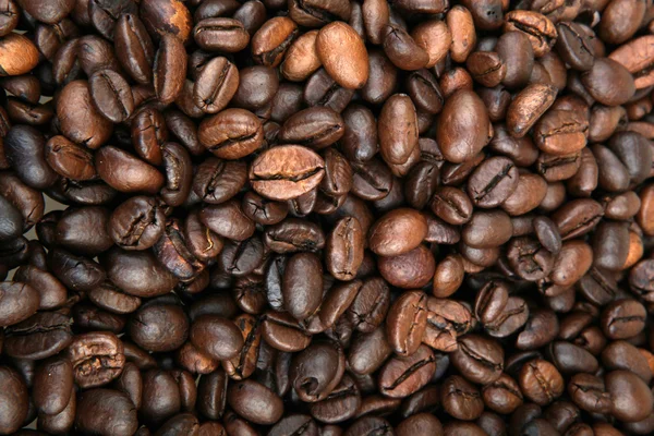 Grãos de café — Fotografia de Stock