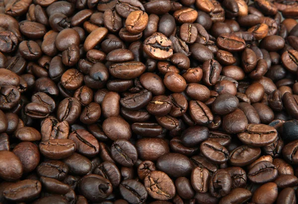 Coffee beans — Stock Photo, Image