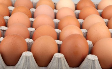 Yumurta - renkli görüntü