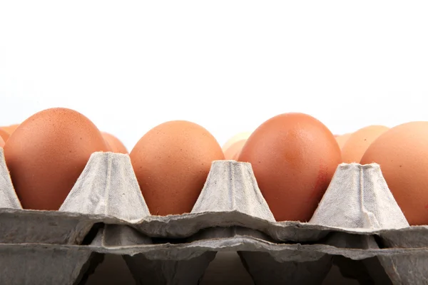 Eggs - Color Image — Stock Photo, Image
