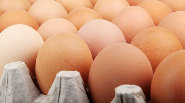 Eggs - Color Image — Stock Photo, Image