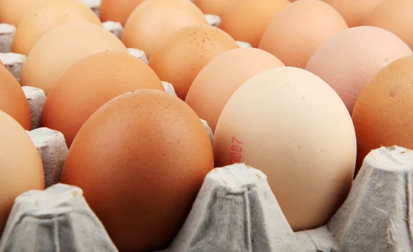 Eggs - Color Image — Stock Photo, Image