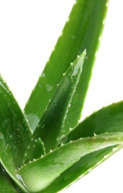 Stok Fotoğraflar - renkli görüntü