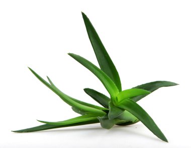 Stok Fotoğraflar - renkli görüntü