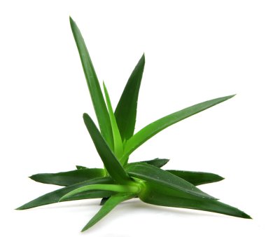 Stok Fotoğraflar - renkli görüntü