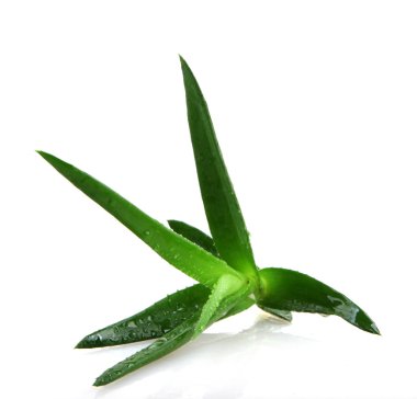 Stok Fotoğraflar - renkli görüntü