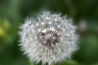 Stok Fotoğraflar - renkli görüntü