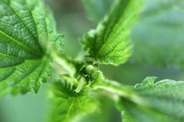 Stok Fotoğraflar - renkli görüntü