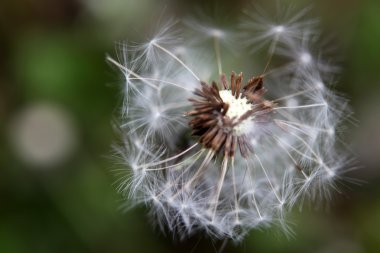 Stok Fotoğraflar - renkli görüntü