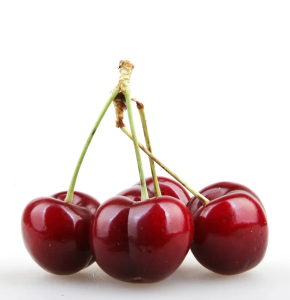 Cherry isolato su sfondo bianco — Foto Stock