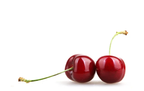 Cereza aislada sobre fondo blanco — Foto de Stock