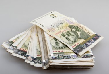 Bulgaristan para birimi