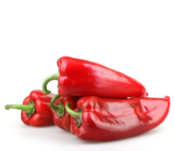 Röd chili paprika på vit bakgrund — Stockfoto