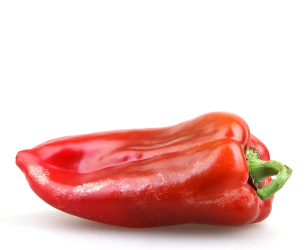 Červené chilli papričky na bílém pozadí — Stock fotografie