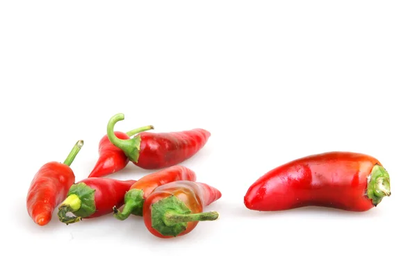 Red chilli peppers on white background Stock Picture