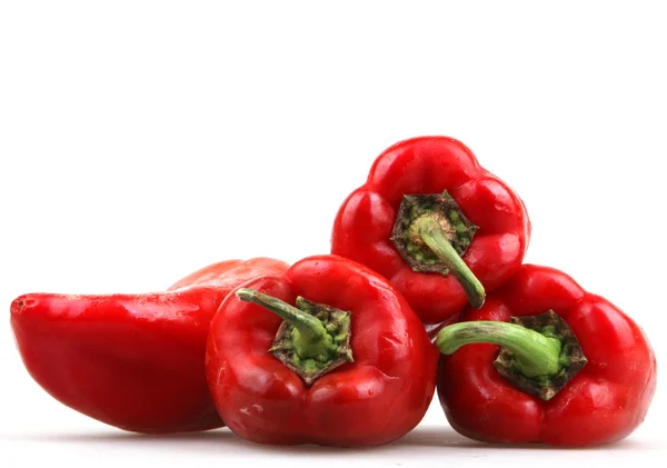 Red chili pepper — Stock Photo, Image