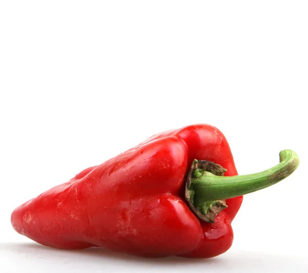 Peperoncino rosso — Foto Stock