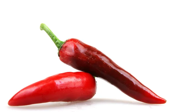 Peperoncino rosso — Foto Stock