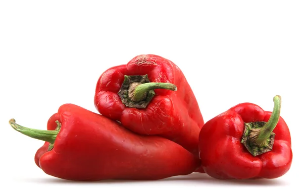 Red chili pepper — Stock Photo, Image