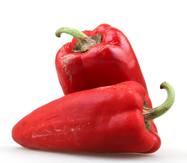 Röd chilipeppar — Stockfoto