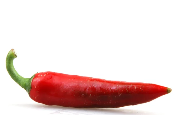 Rode chili peper — Stockfoto