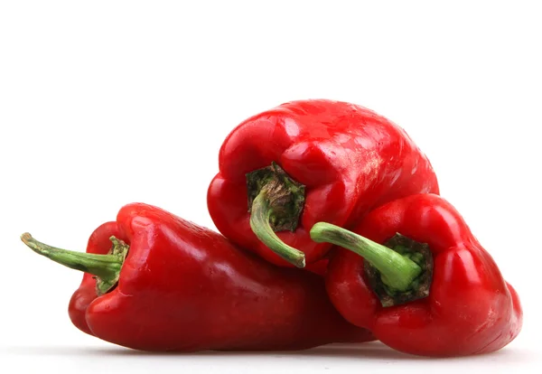 Red chili pepper — Stock Photo, Image