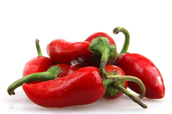 Red chili pepper — Stock Photo, Image