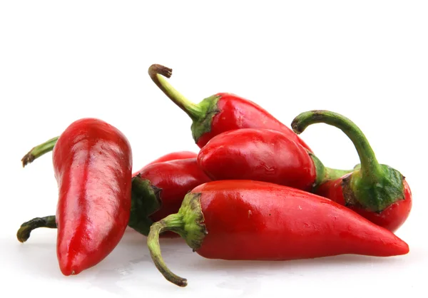 Rode chili peper — Stockfoto