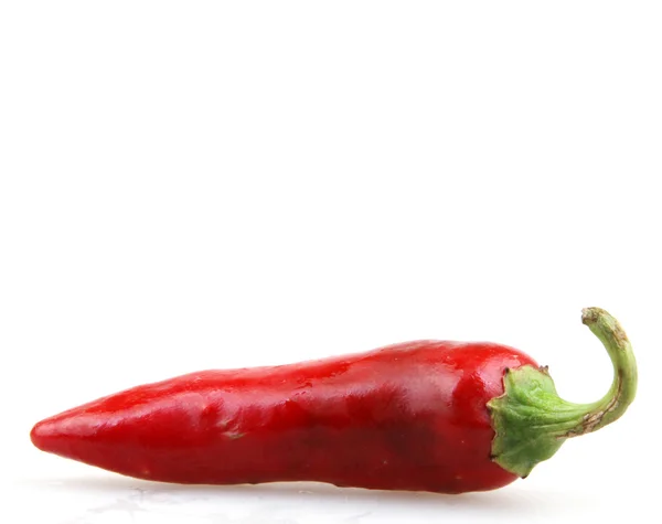 Peperoncino rosso — Foto Stock