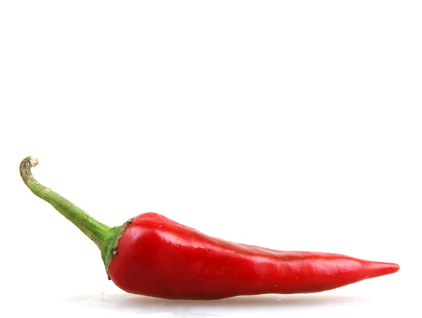 Red chili pepper — Stock Photo, Image