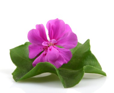 Stok Fotoğraflar - renkli görüntü