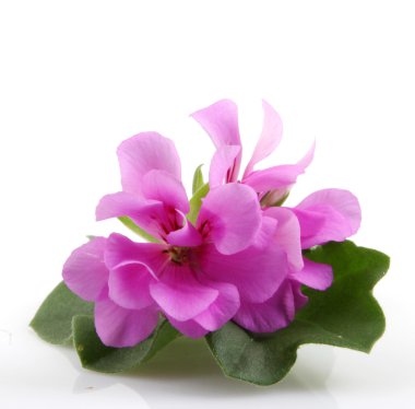 Stok Fotoğraflar - renkli görüntü