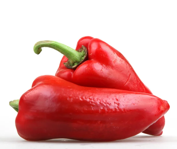 Red chili pepper — Stock Photo, Image