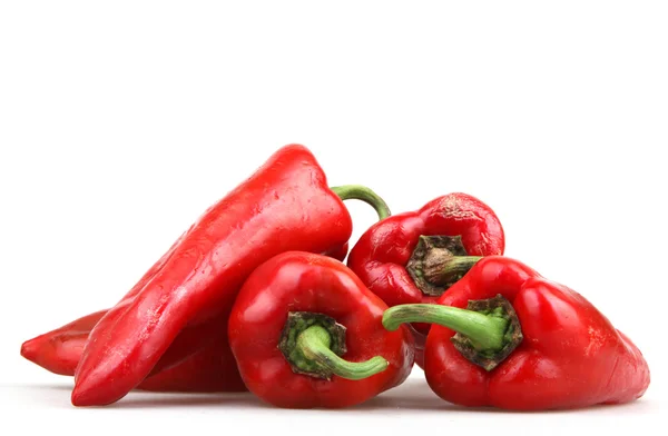 Red chili pepper — Stock Photo, Image