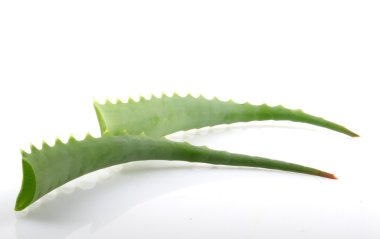 Stok Fotoğraflar - renkli görüntü