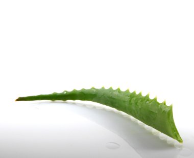 Stok Fotoğraflar - renkli görüntü