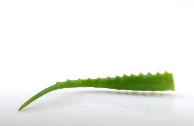 Stok Fotoğraflar - renkli görüntü