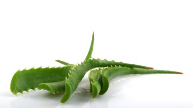 Stok Fotoğraflar - renkli görüntü