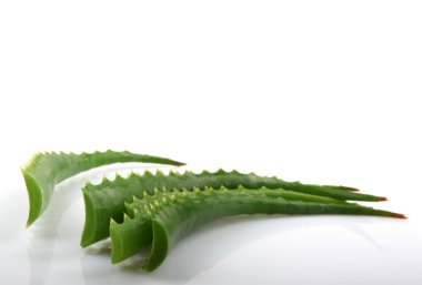 Stok Fotoğraflar - renkli görüntü